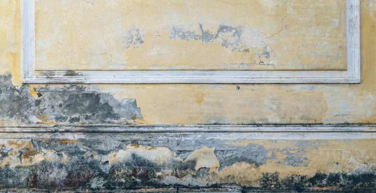 Effective Ways To Keep Mold Out Of Your Home In Florida By Veteran Air