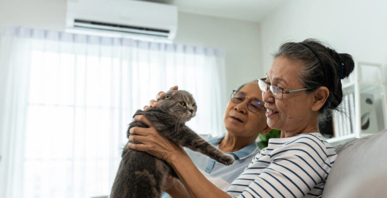 HVAC Care For Pet Owners In Sarasota Florida By Veteran Air