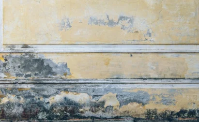 Effective Ways To Keep Mold Out Of Your Home In Florida By Veteran Air