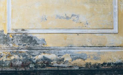 EFFECTIVE WAYS TO KEEP MOLD OUT OF YOUR HOME IN FLORIDA Card