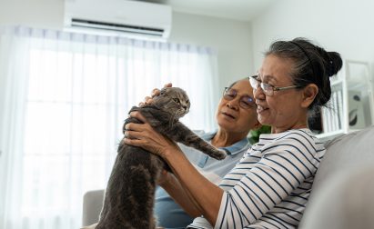 HVAC CARE FOR PET OWNERS Card