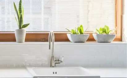 Kitchen sink with a stainless steel faucet below a window. Three potted plants in white pots and bowls are placed on the windowsill.
