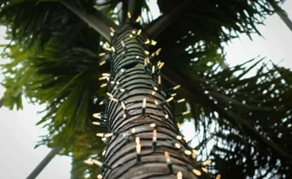How to Hang Holiday Lights Without Overloading Circuits 